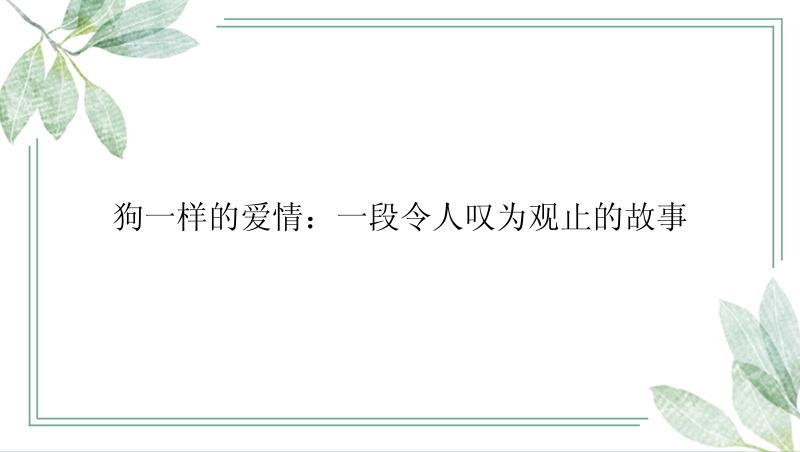 狗一样的爱情：一段令人叹为观止的故事