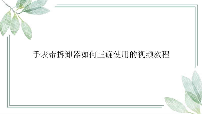 手表带拆卸器如何正确使用的视频教程