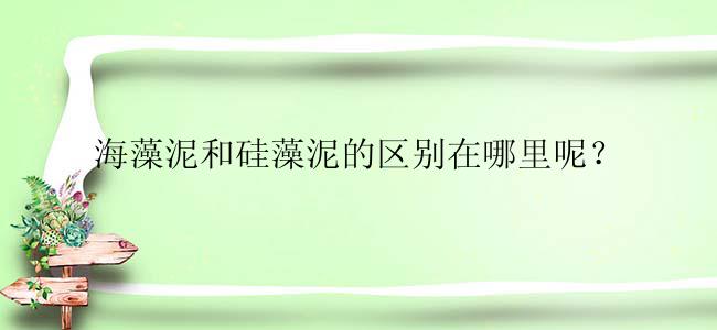 海藻泥和硅藻泥的区别在哪里呢？