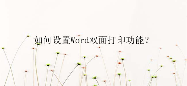 如何设置Word双面打印功能？