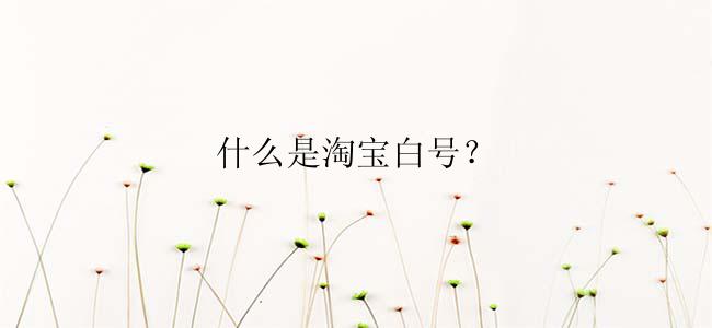 什么是淘宝白号？