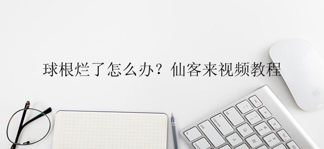 球根烂了怎么办？仙客来视频教程