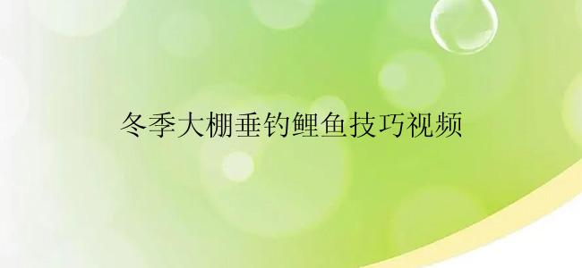 冬季大棚垂钓鲤鱼技巧视频