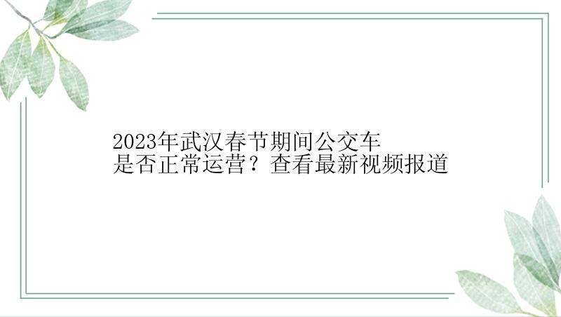 2023年武汉春节期间公交车是否正常运营？查看最新视频报道