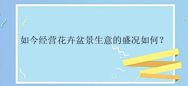 如今经营花卉盆景生意的盛况如何？