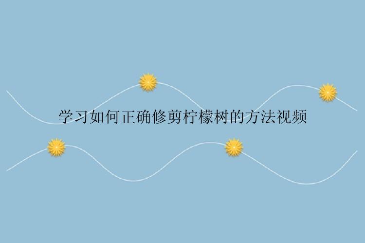 学习如何正确修剪柠檬树的方法视频