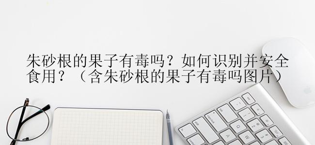 朱砂根的果子有毒吗？如何识别并安全食用？（含朱砂根的果子有毒吗图片）