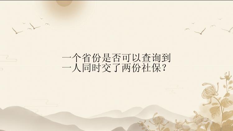 一个省份是否可以查询到一人同时交了两份社保？