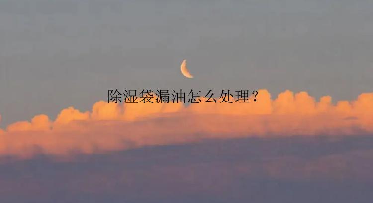 除湿袋漏油怎么处理？