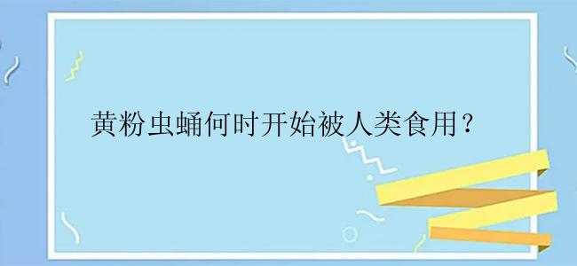 黄粉虫蛹何时开始被人类食用？