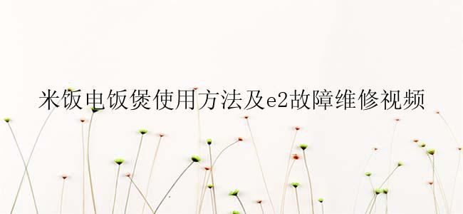 米饭电饭煲使用方法及e2故障维修视频