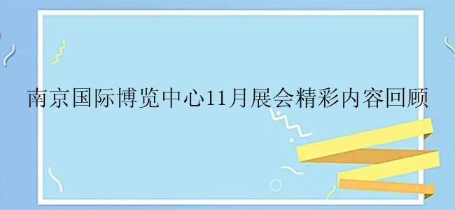 南京国际博览中心11月展会精彩内容回顾