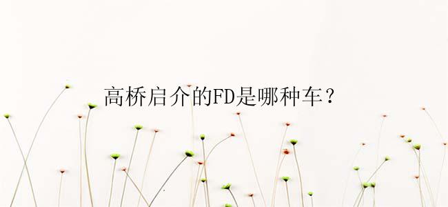 高桥启介的FD是哪种车？