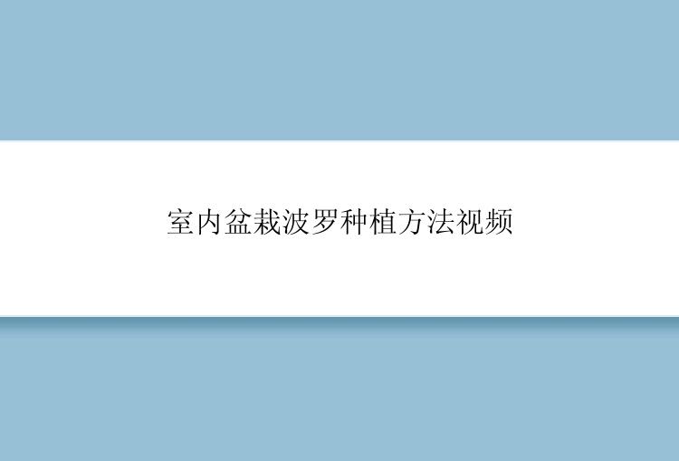 室内盆栽波罗种植方法视频