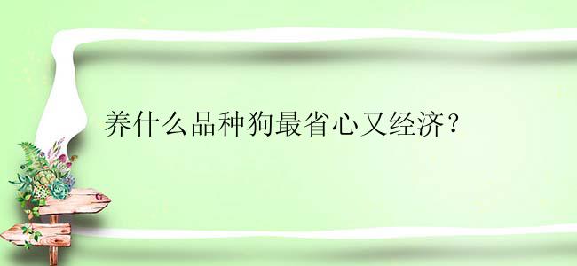 养什么品种狗最省心又经济？