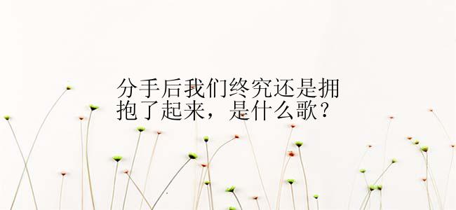 分手后我们终究还是拥抱了起来，是什么歌？