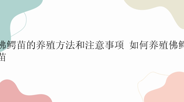 佛鳄苗的养殖方法和注意事项 如何养殖佛鳄苗