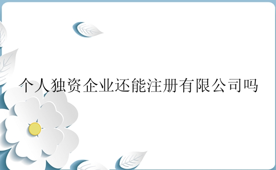 个人独资企业还能注册有限公司吗