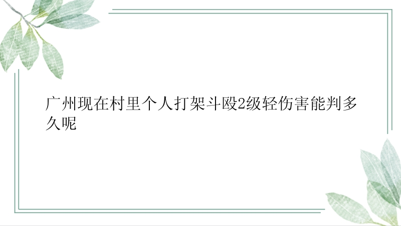 广州现在村里个人打架斗殴2级轻伤害能判多久呢