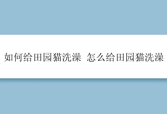 如何给田园猫洗澡 怎么给田园猫洗澡