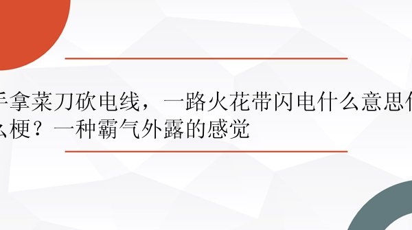 手拿菜刀砍电线，一路火花带闪电什么意思什么梗？一种霸气外露的感觉