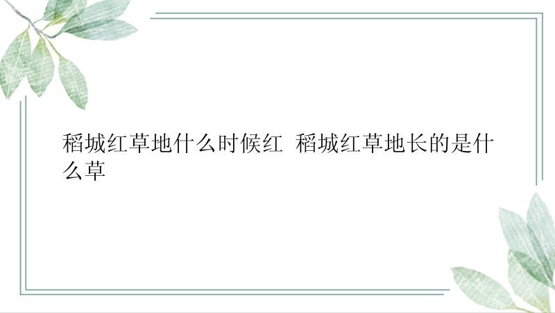 稻城红草地什么时候红 稻城红草地长的是什么草