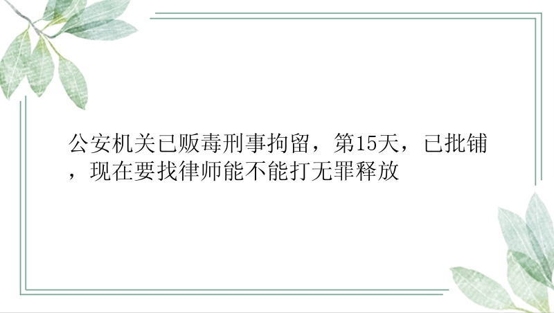 公安机关已贩毒刑事拘留，第15天，已批铺，现在要找律师能不能打无罪释放