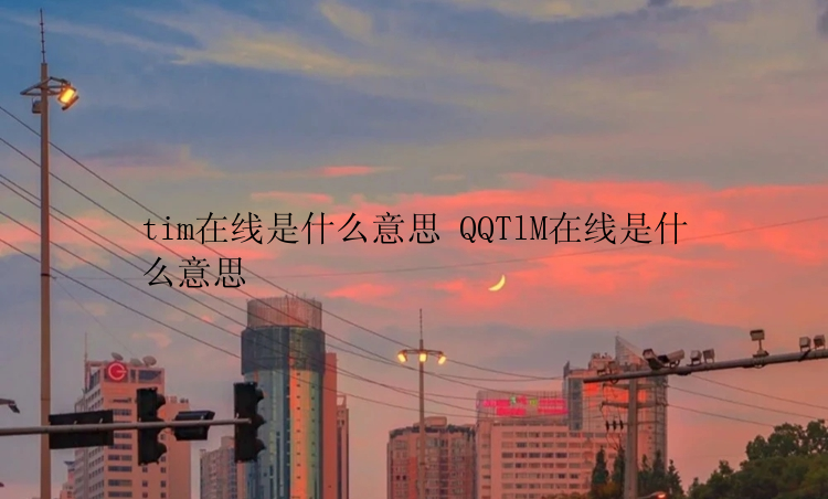 tim在线是什么意思 QQTlM在线是什么意思