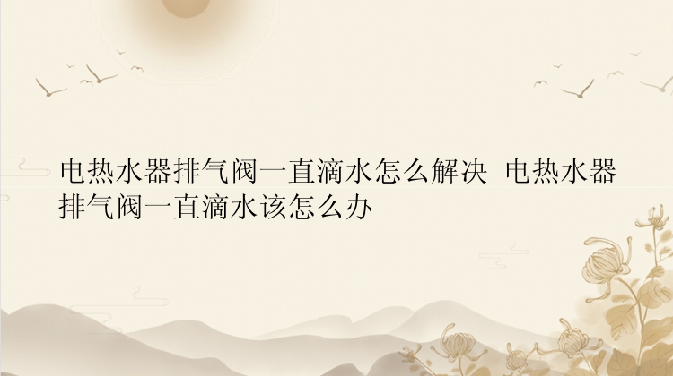 电热水器排气阀一直滴水怎么解决 电热水器排气阀一直滴水该怎么办