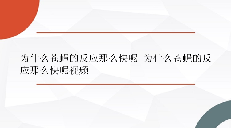 为什么苍蝇的反应那么快呢 为什么苍蝇的反应那么快呢视频