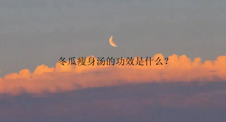 冬瓜瘦身汤的功效是什么？