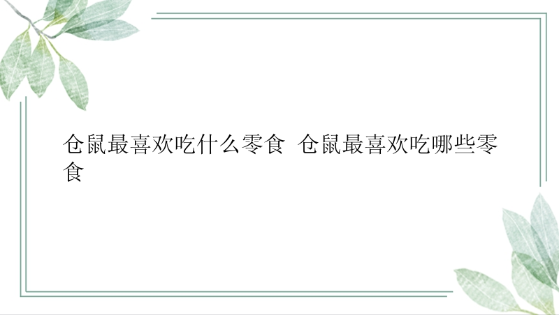 仓鼠最喜欢吃什么零食 仓鼠最喜欢吃哪些零食