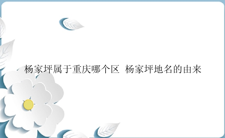 杨家坪属于重庆哪个区 杨家坪地名的由来