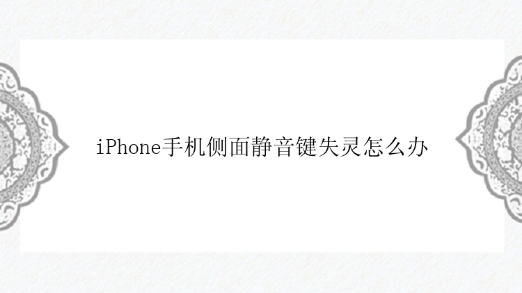 iPhone手机侧面静音键失灵怎么办