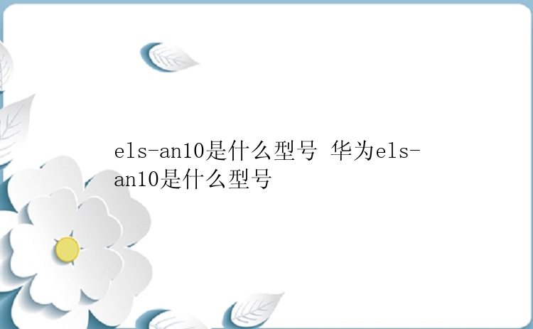 els-an10是什么型号 华为els-an10是什么型号