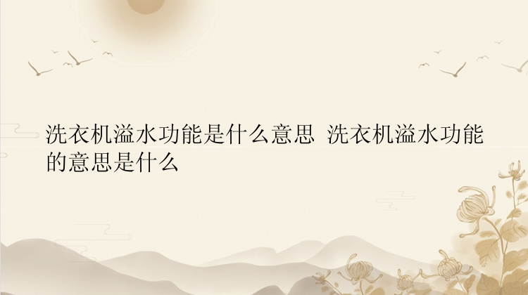 洗衣机溢水功能是什么意思 洗衣机溢水功能的意思是什么