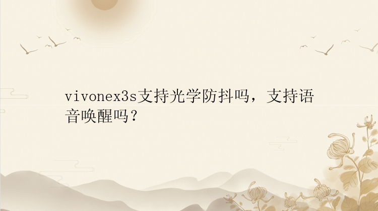 vivonex3s支持光学防抖吗，支持语音唤醒吗？