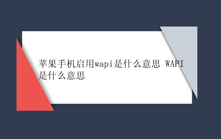 苹果手机启用wapi是什么意思 WAPI是什么意思