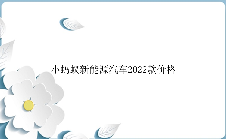 小蚂蚁新能源汽车2022款价格