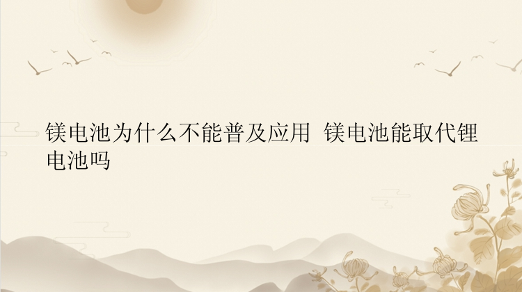 镁电池为什么不能普及应用 镁电池能取代锂电池吗