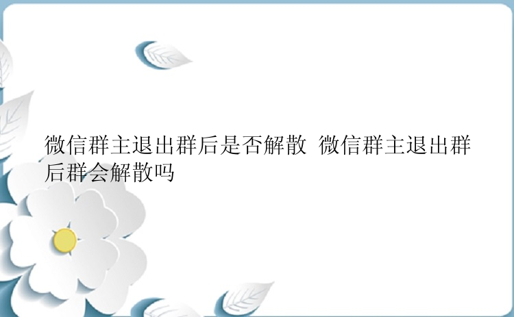 微信群主退出群后是否解散 微信群主退出群后群会解散吗