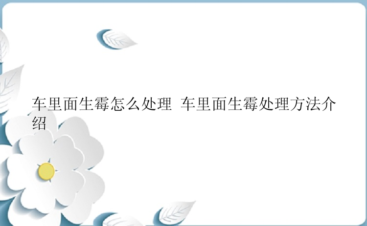 车里面生霉怎么处理 车里面生霉处理方法介绍