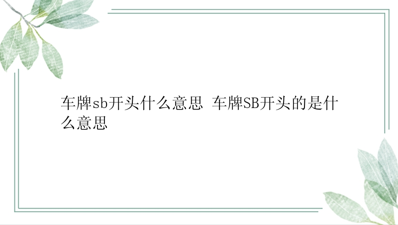 车牌sb开头什么意思 车牌SB开头的是什么意思