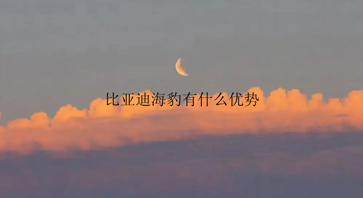 比亚迪海豹有什么优势