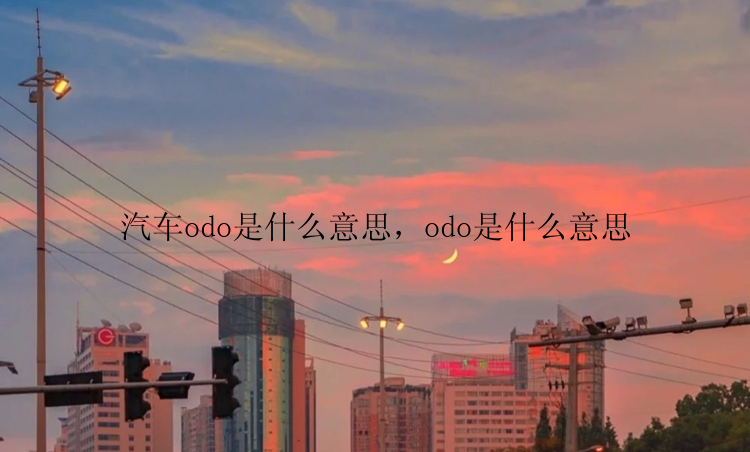 汽车odo是什么意思，odo是什么意思