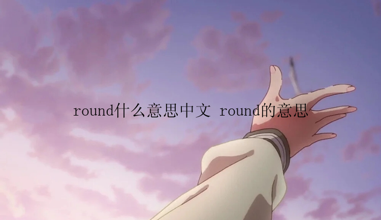 round什么意思中文 round的意思
