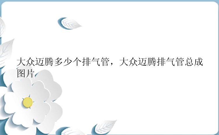 大众迈腾多少个排气管，大众迈腾排气管总成图片