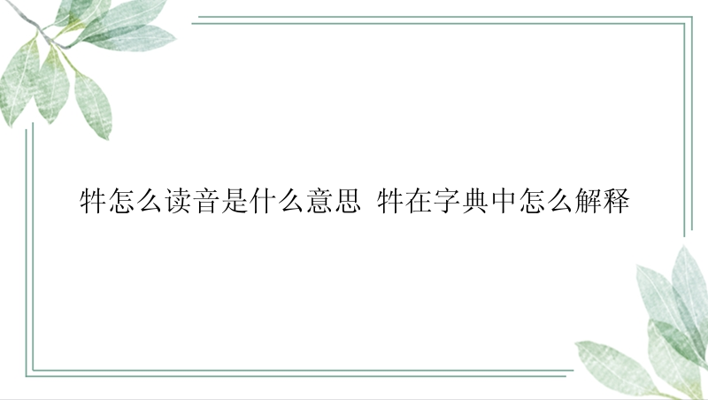 牪怎么读音是什么意思 牪在字典中怎么解释