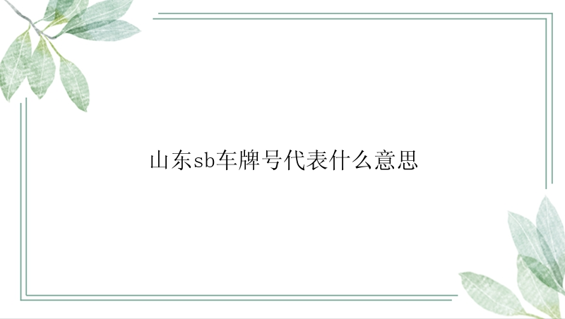 山东sb车牌号代表什么意思