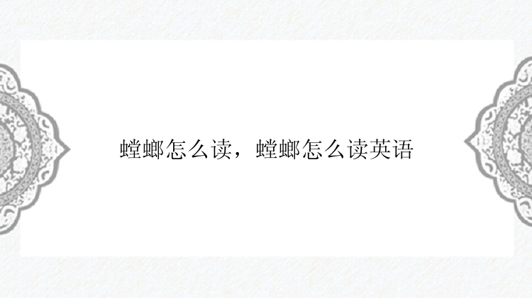 螳螂怎么读，螳螂怎么读英语